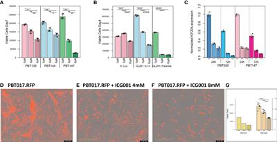 Targeting Wnt signaling for improved glioma immunotherapy